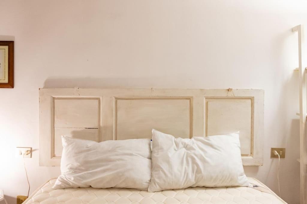 Classic Florentine Flat Near Piazza Santa Croce フィレンツェ エクステリア 写真